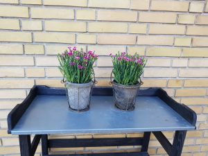 Gudmorens hjerte bobler