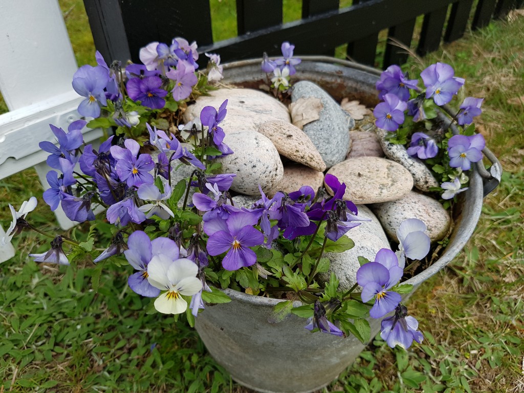 Sommersol og driversøndag i sommerhuset