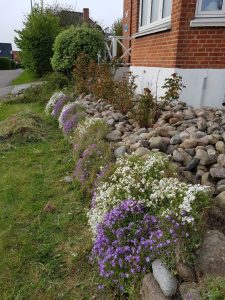 Forårsfarver - forårsforelskelse -forårsfryd