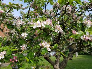 Forårsfarver - forårsforelskelse -forårsfryd