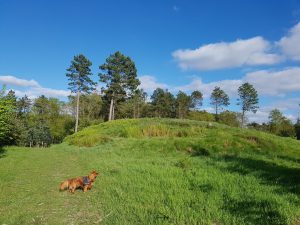 Sommeridyl i sommerhuset & forårsdrømme