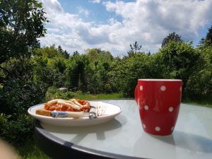 Sommeridyl i sommerhuset & forårsdrømme