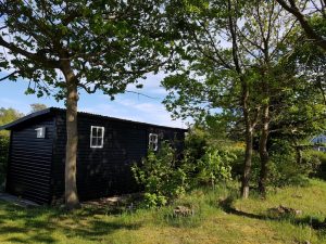 2017-05-25 17.28.22 • nogetiovnen.dk Sol, fuglefløjt, det idylliske haveskur og 5 liter maling