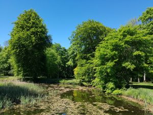 Sommersol, tur ud i det blå og dagens vinder i jordbærkage