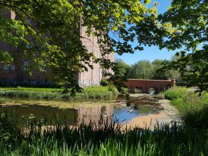 Sommersol, tur ud i det blå og dagens vinder i jordbærkage