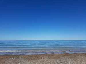 Sommersol, tur ud i det blå og dagens vinder i jordbærkage