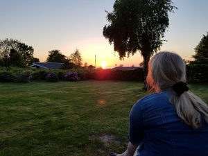 Sommersol, tur ud i det blå og dagens vinder i jordbærkage