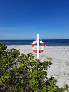 Hjemmearbejdsdag i sommerhuset i fortryllende omgivelser