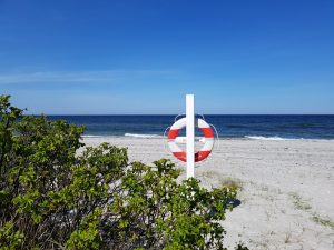 Hjemmearbejdsdag i sommerhuset i fortryllende omgivelser