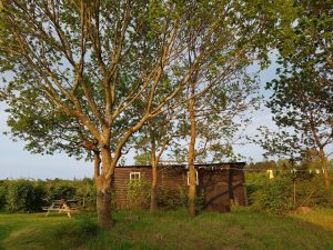 Sommerhus - et lille bitte eventyr med ind i hverdagen