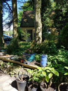 Sommerglimt på en grå hverdag