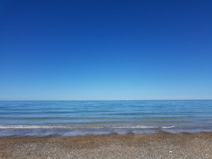 Sommerglimt på en grå hverdag