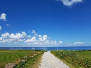 Sommerferie efter alles hjerter
