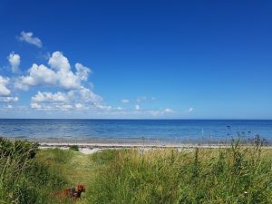 Sommerferie efter alles hjerter
