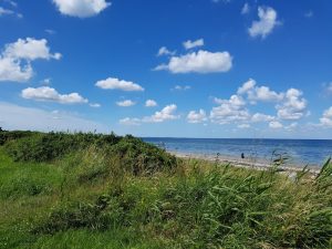 Sommerferie efter alles hjerter