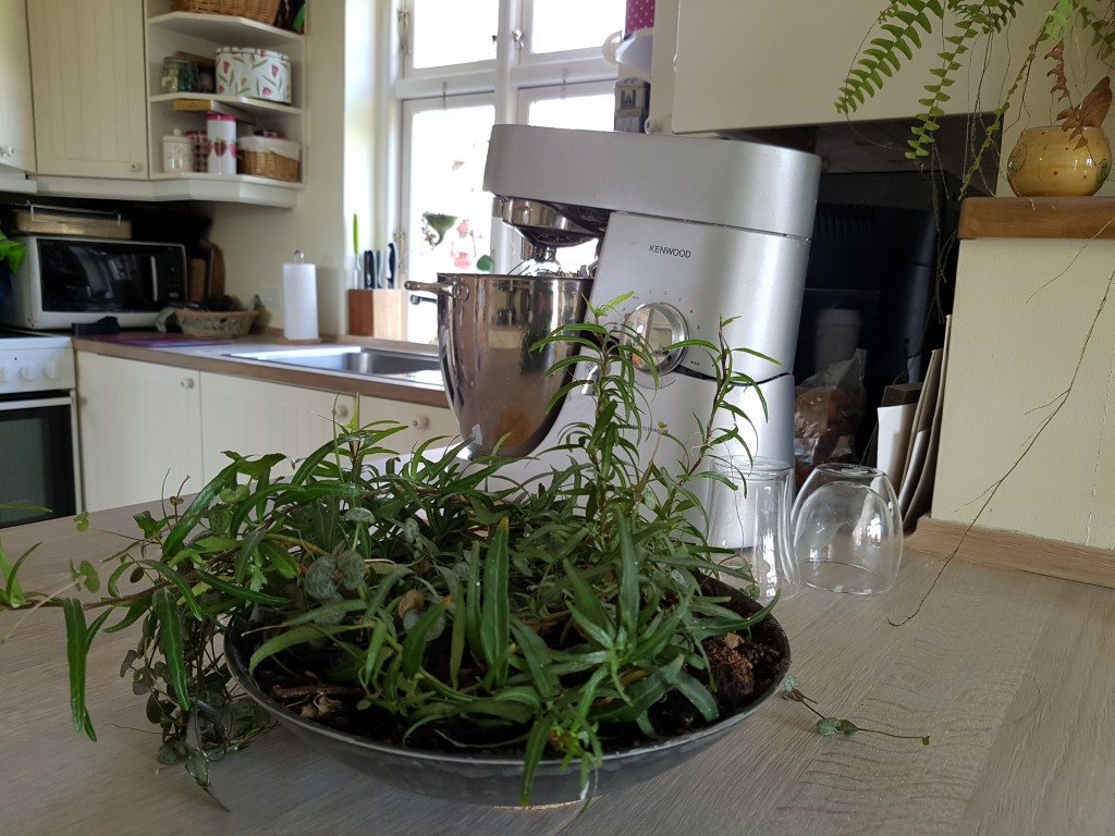 Vil du se mit køkken?