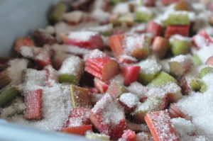 Jordbær rabarber crumble - nem kage opskrift