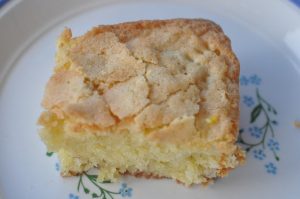 DSC_5482 • nogetiovnen.dk Blondie med rabarber - brownie med hvid chokolade