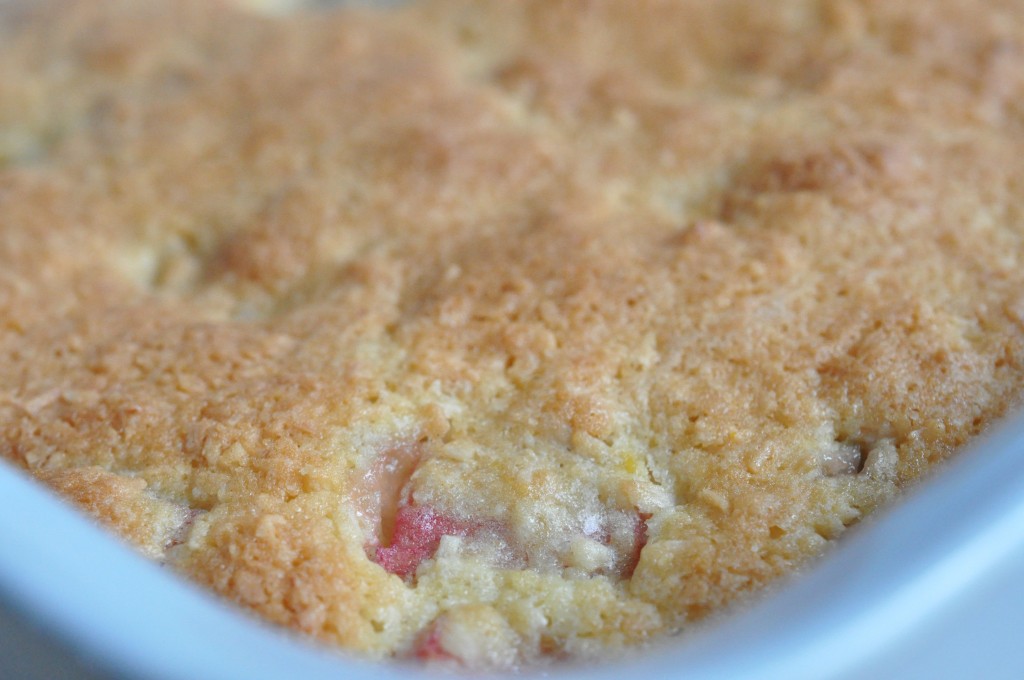 Rabarberkage med kokosmel - sommerens bedste!