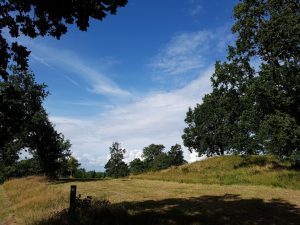 2017-09-03 12.34.16 • nogetiovnen.dk Natur i sommerhuset