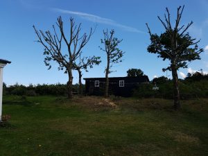 2017-09-03 13.02.30 • nogetiovnen.dk Sommerhus