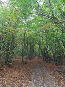 Jagtede ferielykken - og fandt den