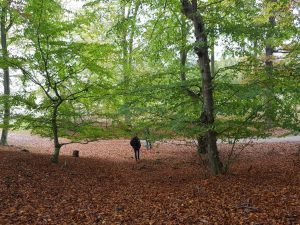 Jagtede ferielykken - og fandt den