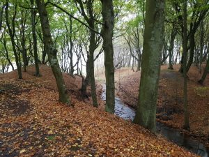 Jagtede ferielykken - og fandt den