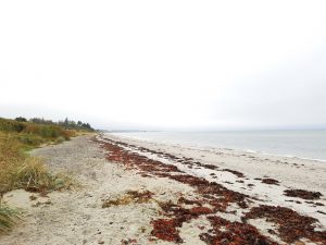 Jagtede ferielykken - og fandt den