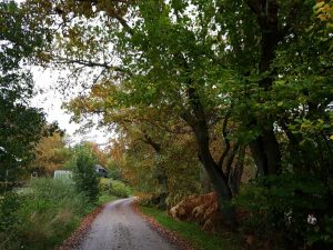 Jagtede ferielykken - og fandt den