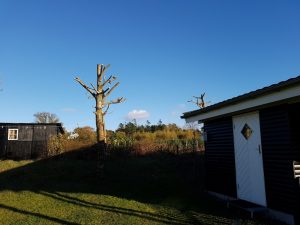 Sommerhuslykke, natlig hundeterror og sofaslumren