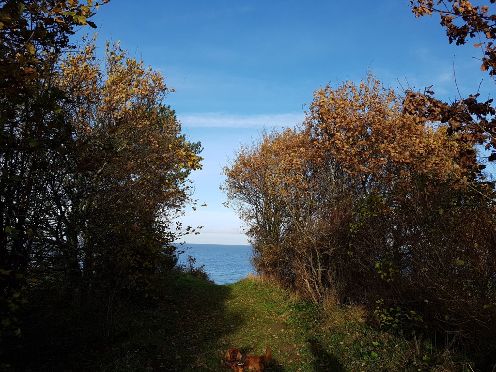 En glad og taknemmelig Bagenørd – smiler og frydes