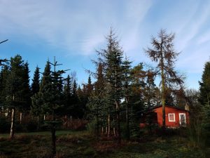 Vi maler dagen blå - sommerhus- & juleferielykke