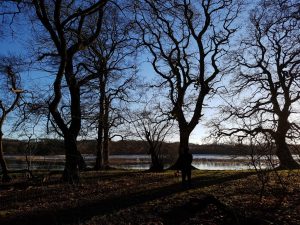 2018-01-07 14.14.00 • nogetiovnen.dk