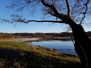 2018-01-07 14.39.42 • nogetiovnen.dk Langå egeskov
