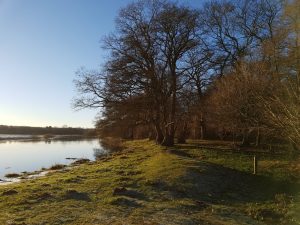 2018-01-07 14.40.31 • nogetiovnen.dk