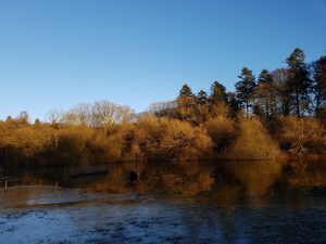 2018-01-07 14.58.32 • nogetiovnenstaging.com Frysende hilsner & weekend lykke i sommerhuset