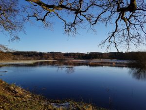 2018-01-07 14.14.46 • nogetiovnen.dk Gudenåen