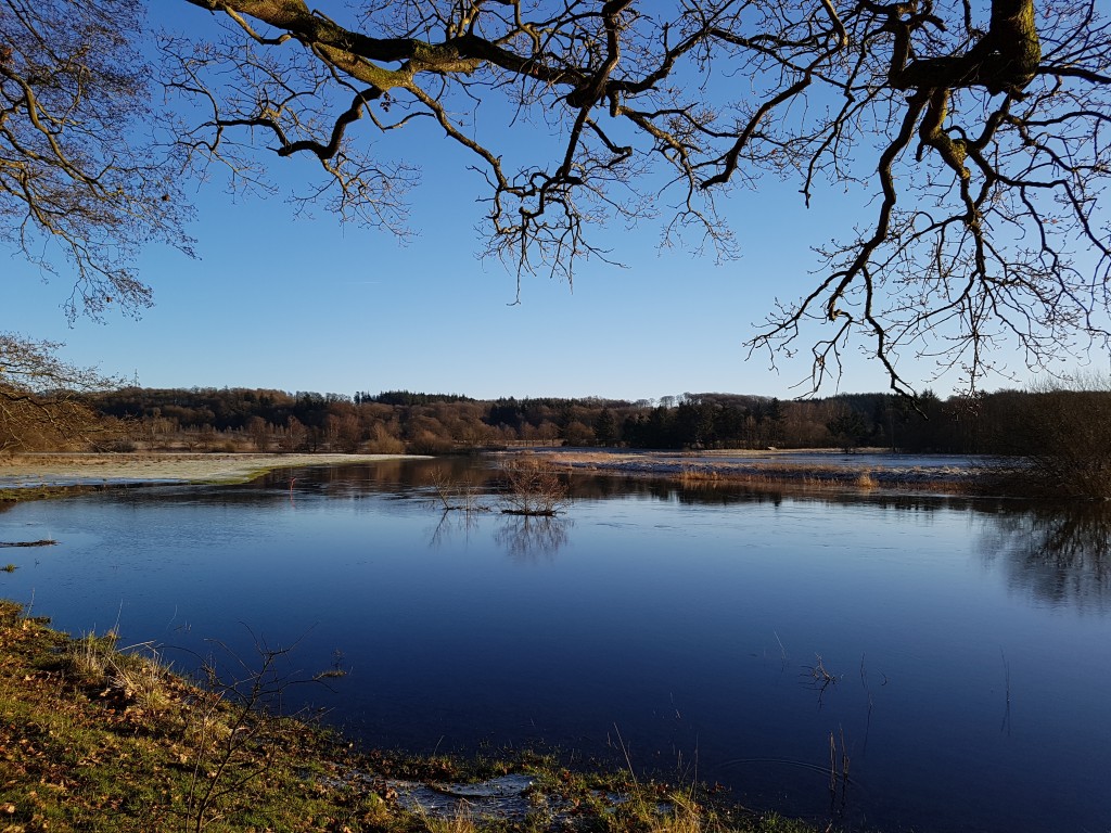 2018-01-07 14.14.46 • nogetiovnen.dk