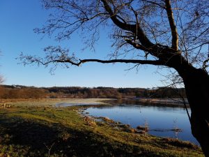 2018-01-07 14.39.48 • nogetiovnen.dk Gudenåen
