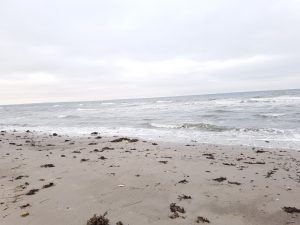 2018-02-04 15.06.34 • nogetiovnen.dk