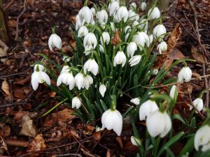 2018-02-17 13.42.32 • nogetiovnenstaging.com