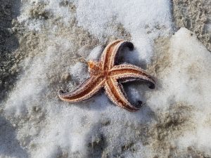 2018-03-03 14.17.36 • nogetiovnenstaging.com