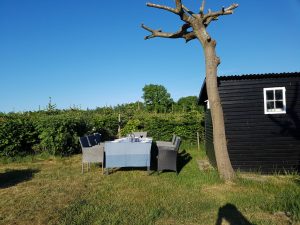 2018-05-20 18.51.16 • nogetiovnen.dk Sommerlykkelig sommerstemning på bloggen