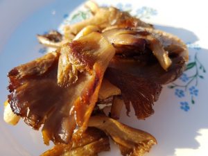 Smørstegte østershatte