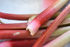 Rabarbertrifli med makroner og hjemmelavet vaniljecreme