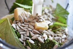 Pesto af citronmelisse - frisk og fyldt med vitaminer