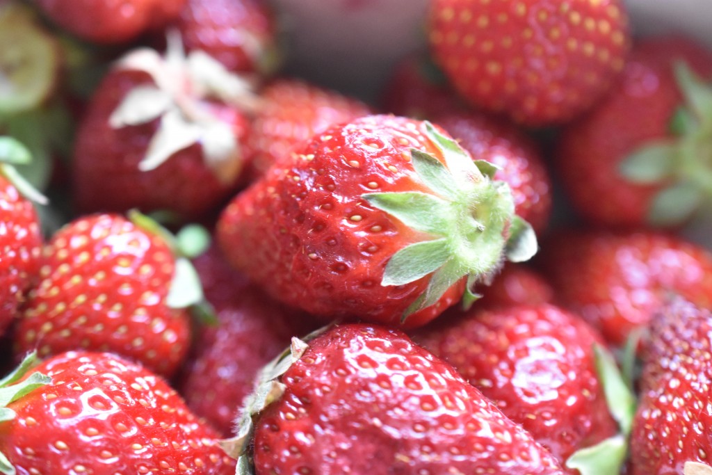 Jordbær opskrifter - kager og desserter