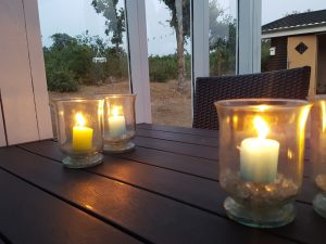 De frie forældrefugles nye eventyr 