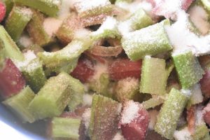 Rabarberkage - nem kage med rabarber